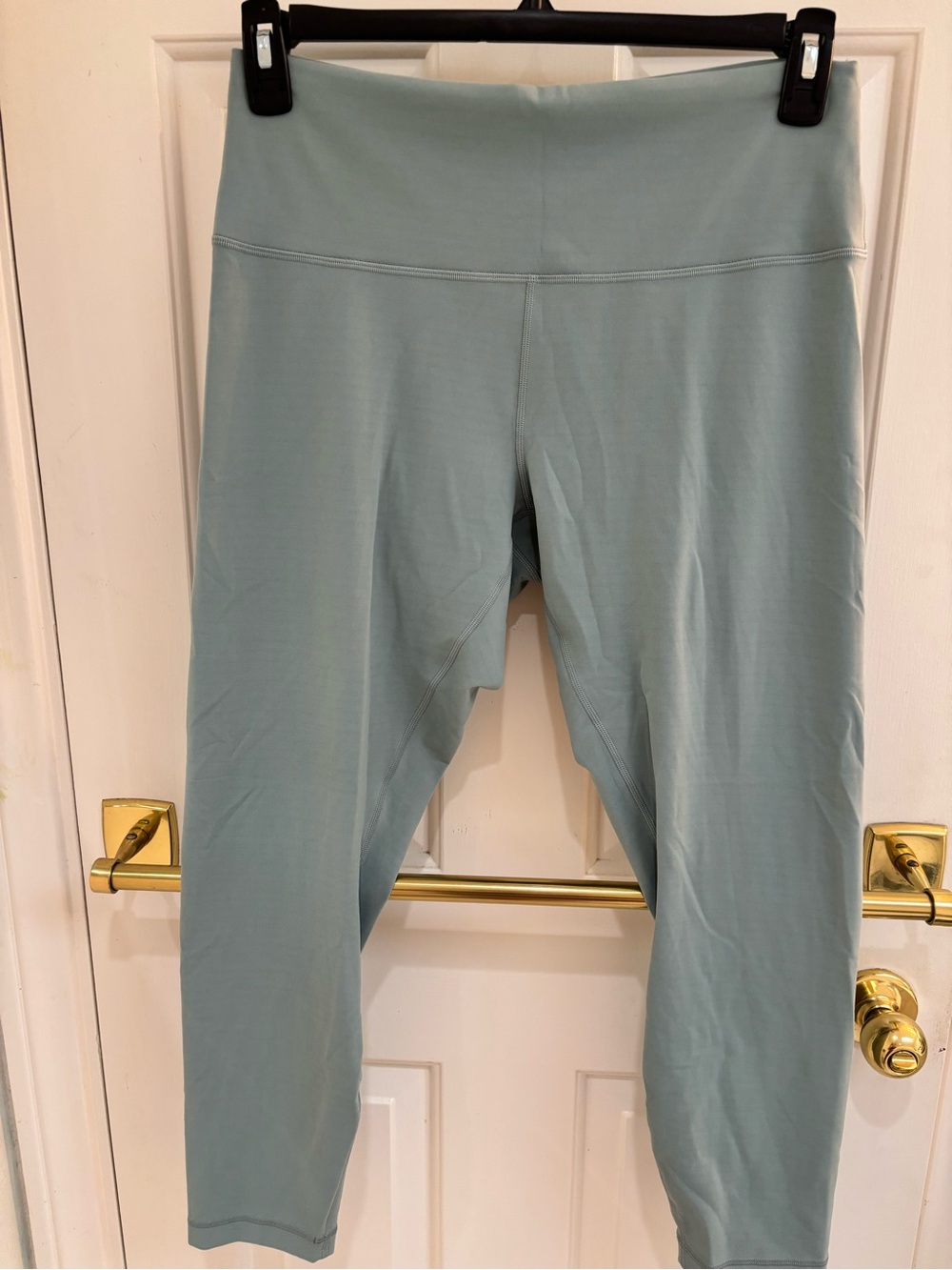 Lululemon NWOT Sage  Align Leggings